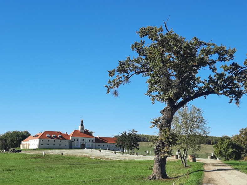Conacul de la Posmus