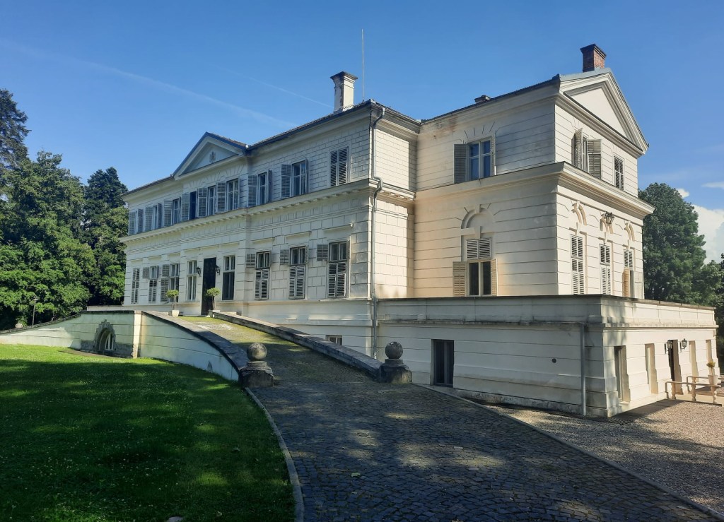 Castelul Regal de la Savarsin