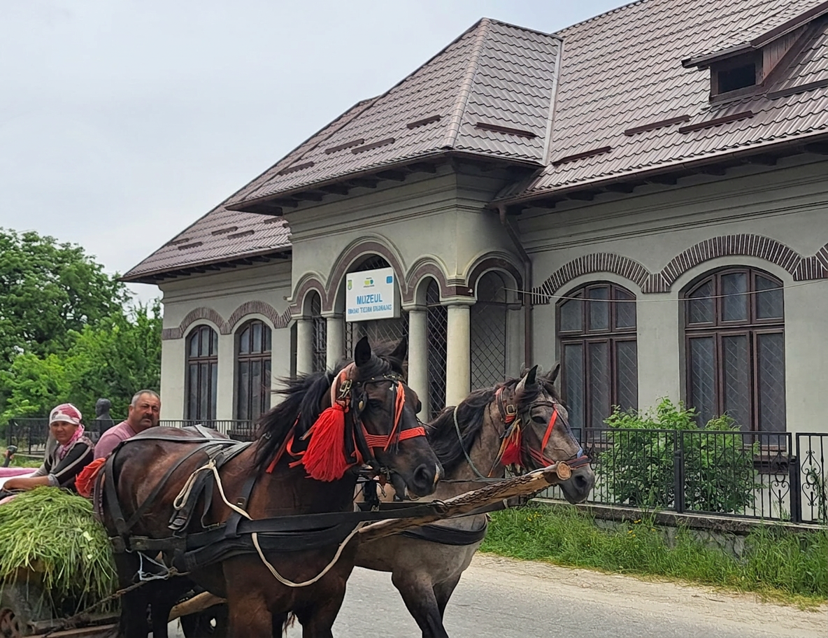 Căruța cu cai
