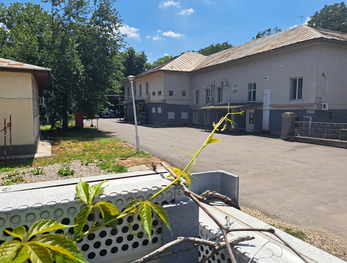 Conacul-spital dinspre Penny Market